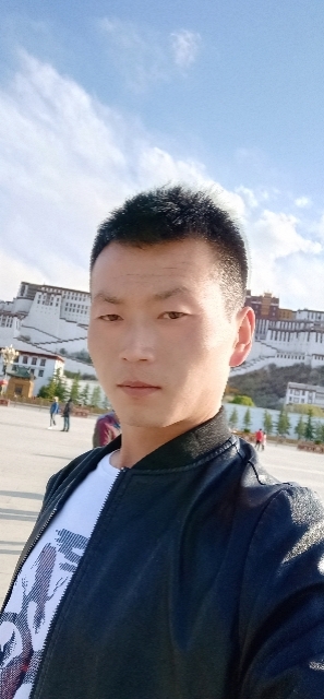 阳光下的小草的第一张照片--永登中老年相亲网